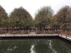 -五缘湾湿地公园