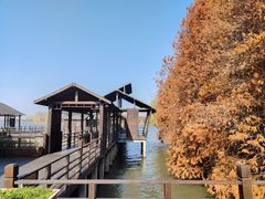 -溱湖国家湿地公园