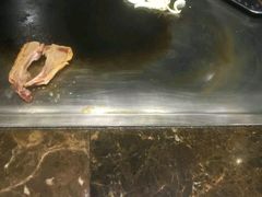 -尚雅铁板料理自助餐厅(乐松店)