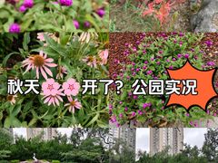 -中山公园