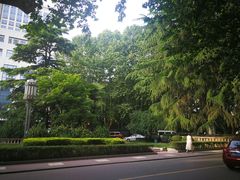 -西京医院