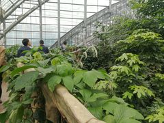 -南山植物园
