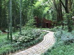 -同里国家湿地公园