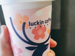 -瑞幸咖啡(东亚望京中心店)