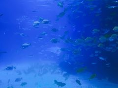 -常州海昌海洋探索馆