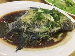 清蒸罗非鱼-联邦酒楼