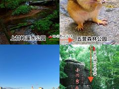 -汤旺河林海奇石景区