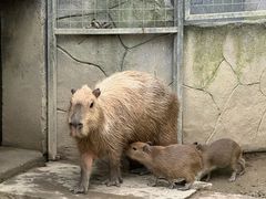 -宁波野生动物园