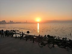 -深圳湾公园(南山区)