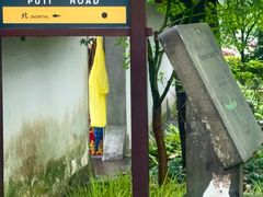 -普陀山慧济禅寺