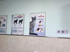 -酷宠动物医院(天通西苑店)