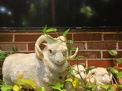 -草原塞蛮羊火锅城(港湾店)