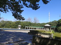 -蠡湖中央公园