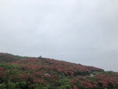 -永州阳明山国家森林公园