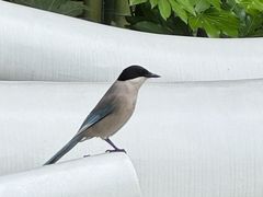 -苏州河梦清园环保主题公园