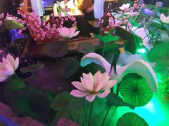 -韵秋荷(宝山龙湖天街店)