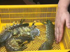 -大螃蟹海鲜餐厅