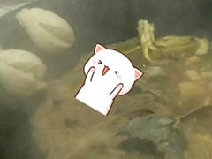 -木火柴大铁锅