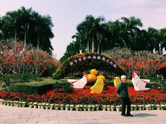 -金花茶公园