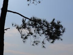 -修水东浒寨风景区