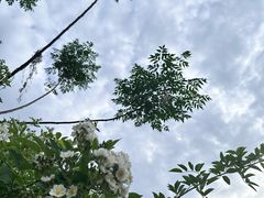-洨河生态公园