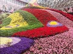 -花之城