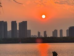 -天鹅湖体育公园