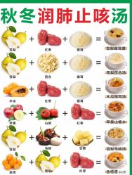 -Fundi张玉珊修身堂·indiba·BTL科技瘦身