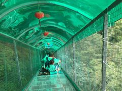 -野三坡清泉山风景区