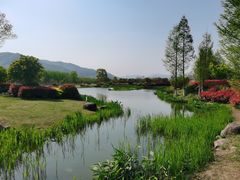 -径山花海