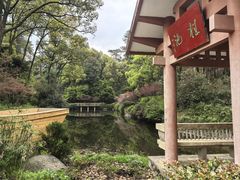 -南山植物园