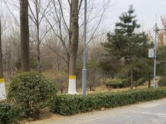 -东升八家郊野公园