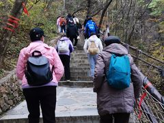 -秦岭天竺山生态文化旅游景区