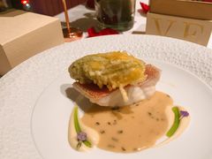 -蝶舍·MAISON PAPILLON