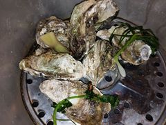 -土蚝·高压锅生蚝(百姓美食街店)