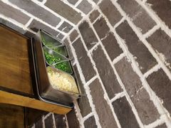 -大龙燚火锅(春熙店)