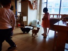 大堂-猫咖时代(中山亭店)