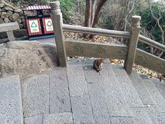 -普陀山风景区-佛顶山