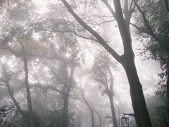 -灵顺寺