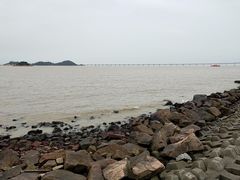 -野狸岛