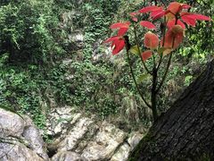 -华蓥山天意谷景区