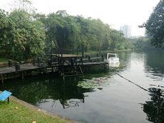 -晓港公园
