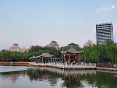 -莲花池公园