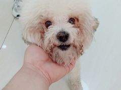 -美联众合动物医院·24h京西诊疗中心