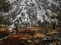 -硗碛藏寨·神木垒景区