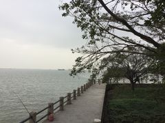 -大湾区中央湿地公园