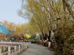 -莲花池公园