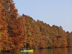 -上海海湾国家森林公园