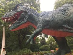 -热带风暴水上乐园(新镇路)