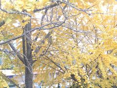 -山东大学(千佛山校区)
